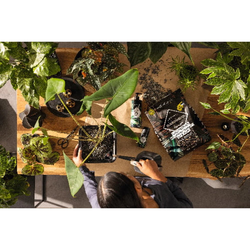 Lechuza Blackstone Pon | Soil Alternative Potting Soil & Substrates Lechuza