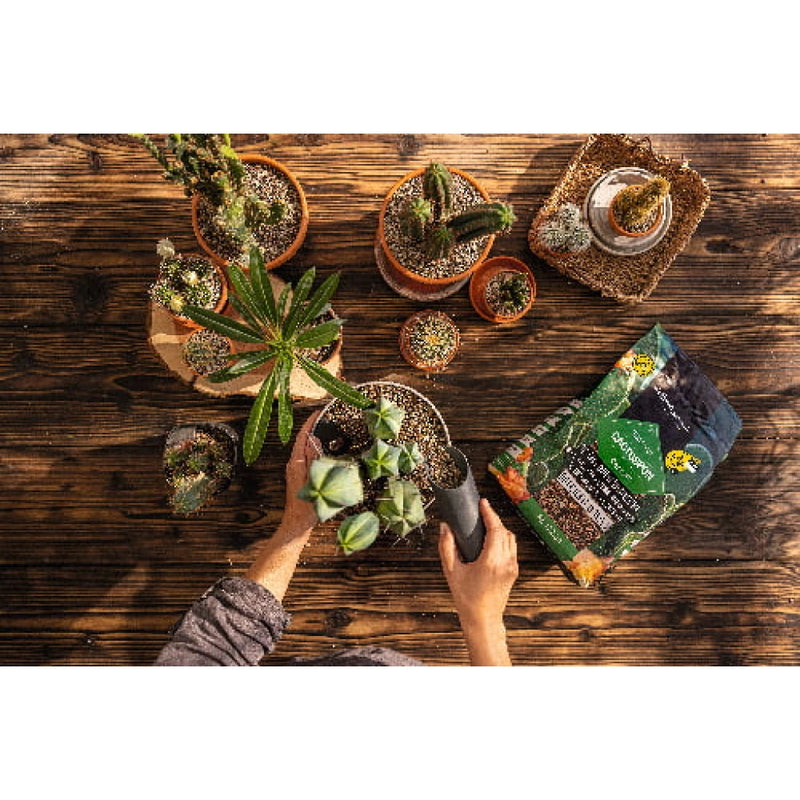 Lechuza Cactus Pon | Soil Alternative Potting Soil & Substrates Lechuza