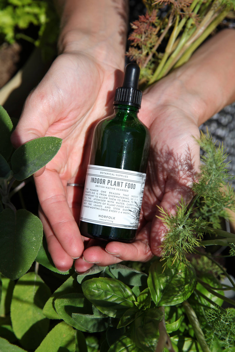 Indoor Plant Food - 100ml — Default Title