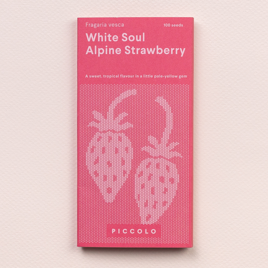 Alpine Strawberry 'White Soul' Seeds Seeds Piccolo Seeds