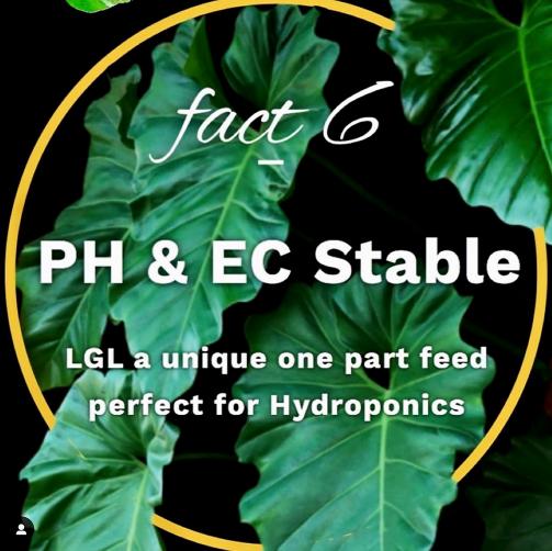 Liquid Gold Leaf Plant Fertiliser Plant Food and Nutrients Liquid Gold Leaf