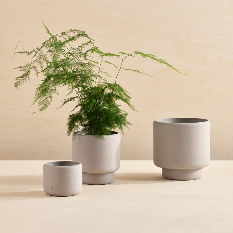 Aaron Probyn Botany Pot Medium - Concrete Grey Pots & Planters Aaron Probyn