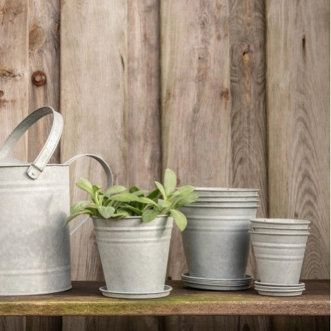 zinc plant pots Rustic Zinc Plant Pot
