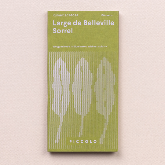 Sorrel 'Large de Belleville' Seeds Seeds Piccolo Seeds