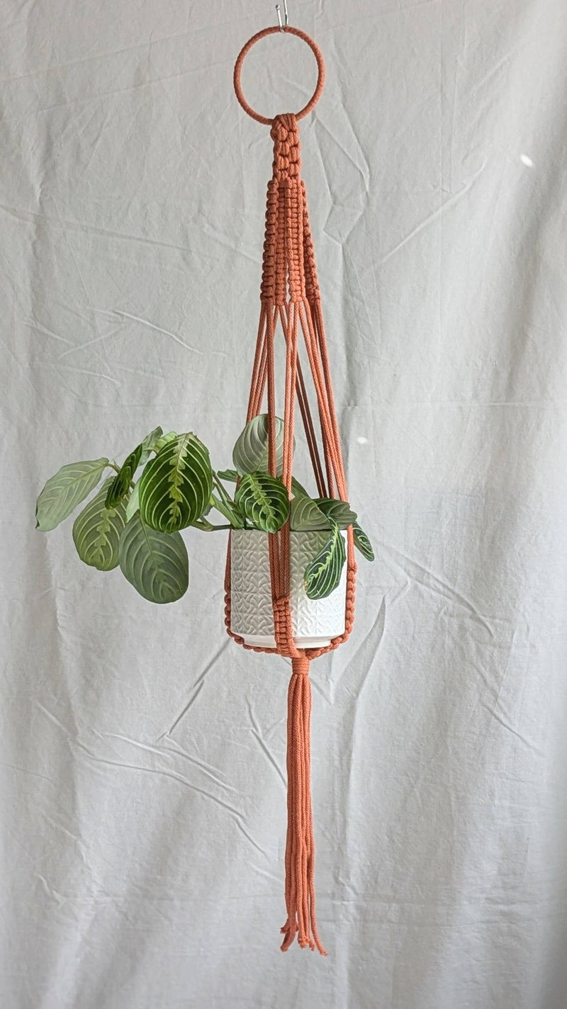 Large Macrame Plant Hanger Plant Hangers CharKnots