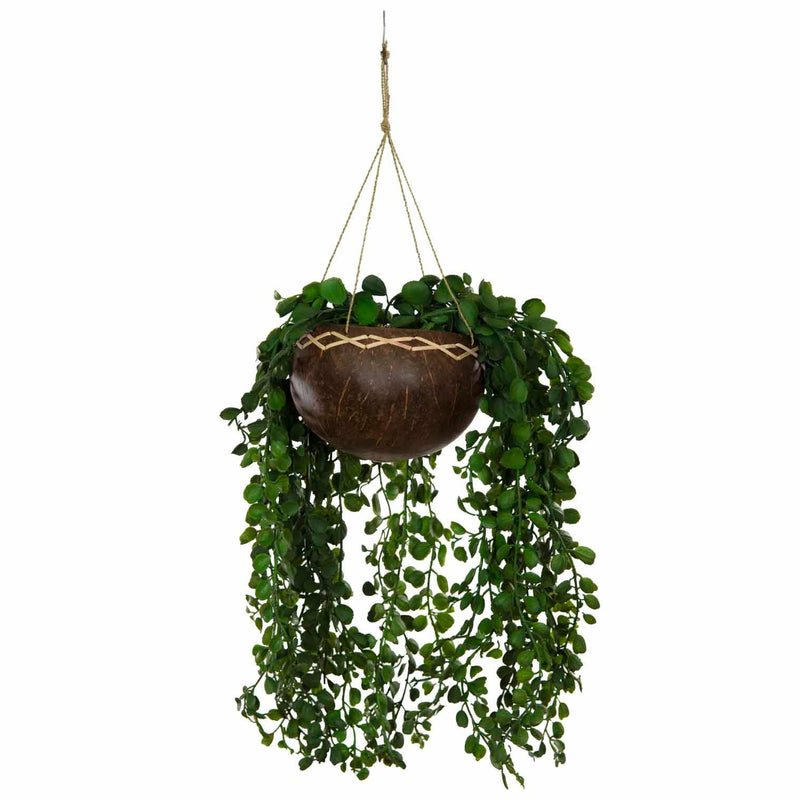 Coconut Plant Hanger — Default Title