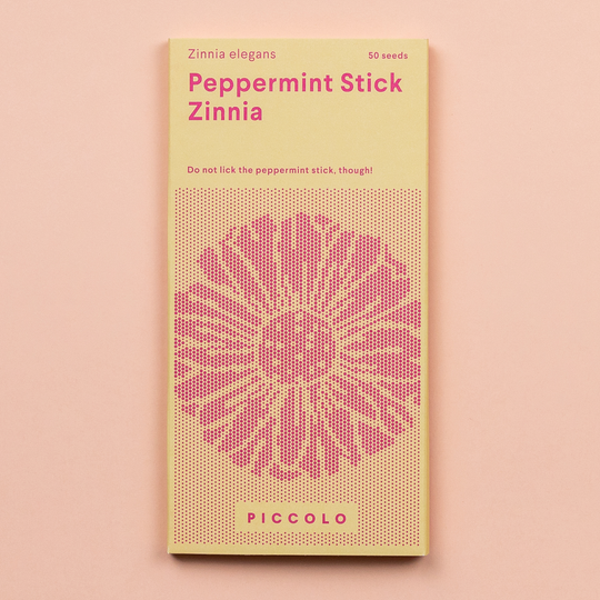 Zinnia 'Peppermint Stick' Seeds Seeds Piccolo Seeds