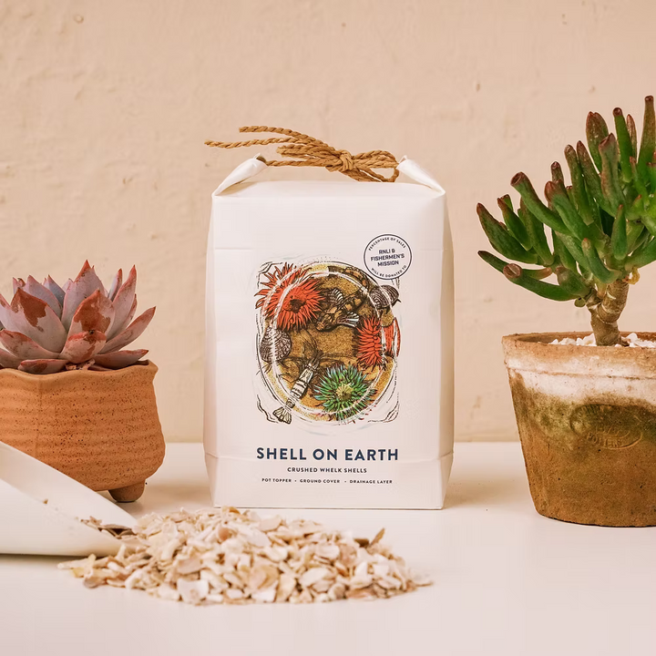 Shell on Earth Crushed Whelk Shells Rockpool Limited Edition Potting Soil & Substrates Shell on Earth