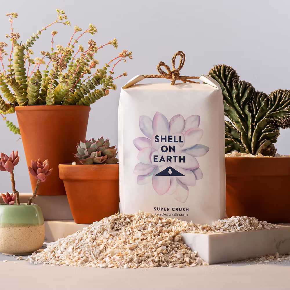 Shell on Earth Crushed Whelk Shells Super Crush (Fine) Potting Soil & Substrates Shell on Earth
