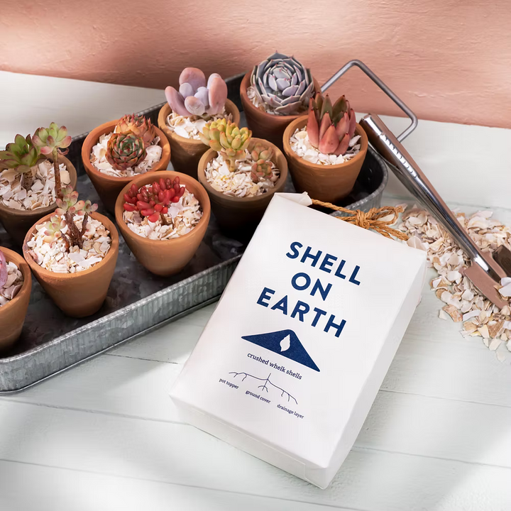 Shell on Earth Crushed Whelk Shells Classic Potting Soil & Substrates Shell on Earth