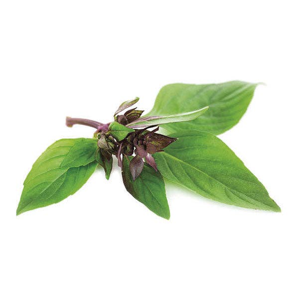 Thai Basil Seeds — Default Title