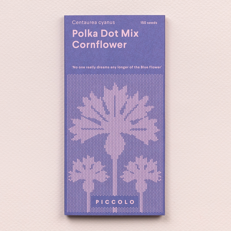 Cornflower 'Polka Dot Mix' Seeds Seeds Piccolo Seeds