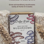 Mushroom Growing Gift Box — Default Title