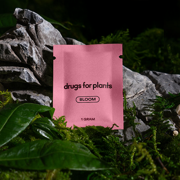 Drugs for Plants 1G Bag (Bloom) — Default Title