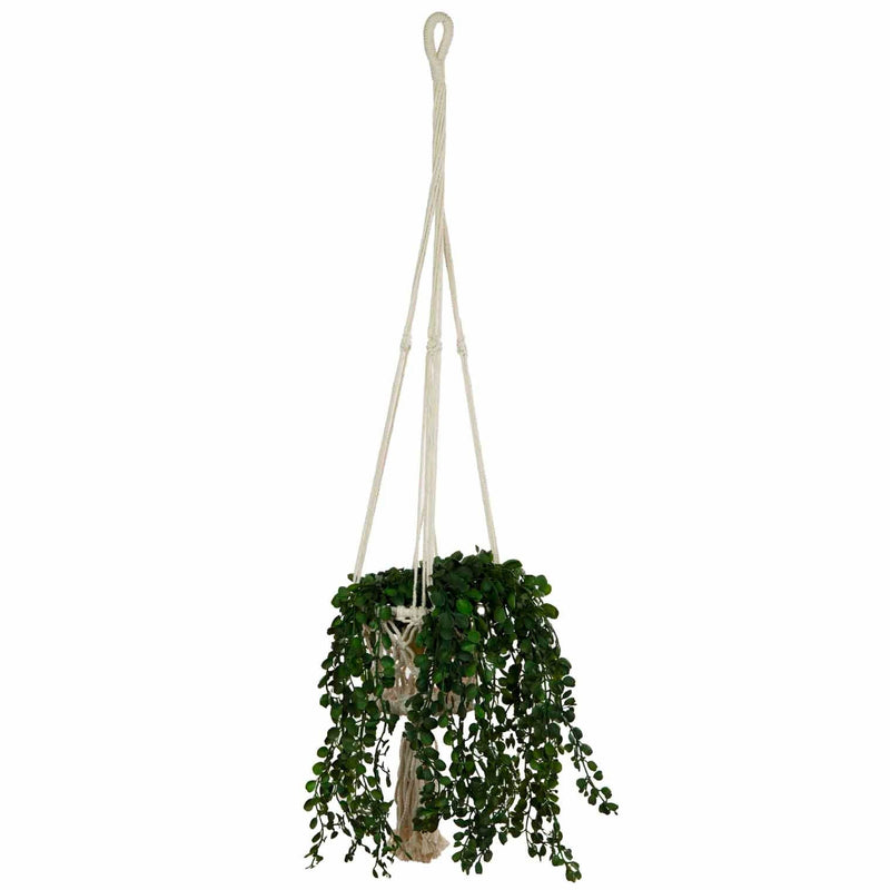 Macrame Plant Hanger — Default Title