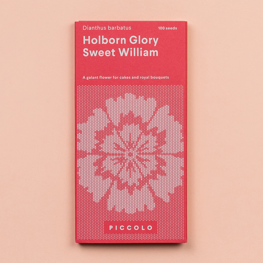 Sweet William 'Holborn Glory' Seeds Seeds Piccolo Seeds
