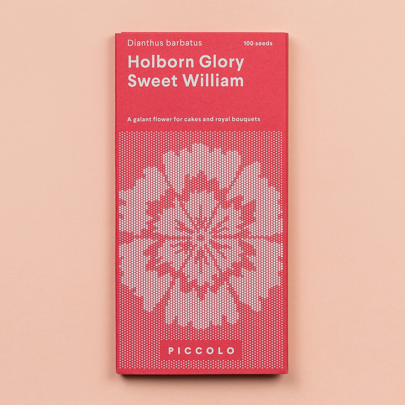Sweet William 'Holborn Glory' Seeds Seeds Piccolo Seeds