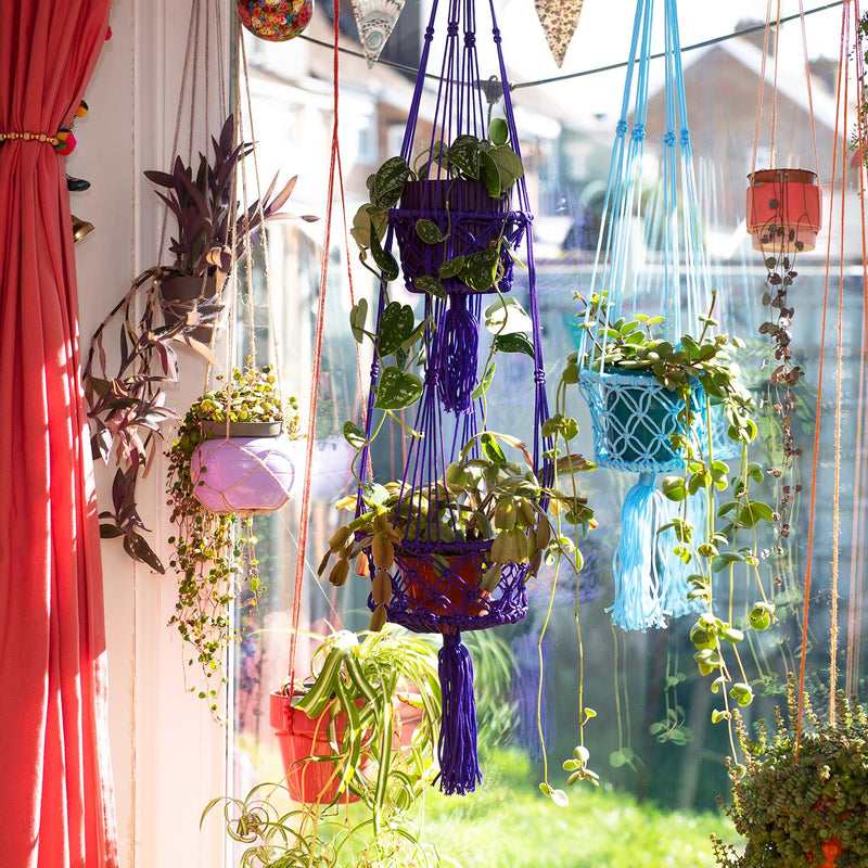 Bright Macrame Plant Hanger: Blue Plant Hangers Siesta