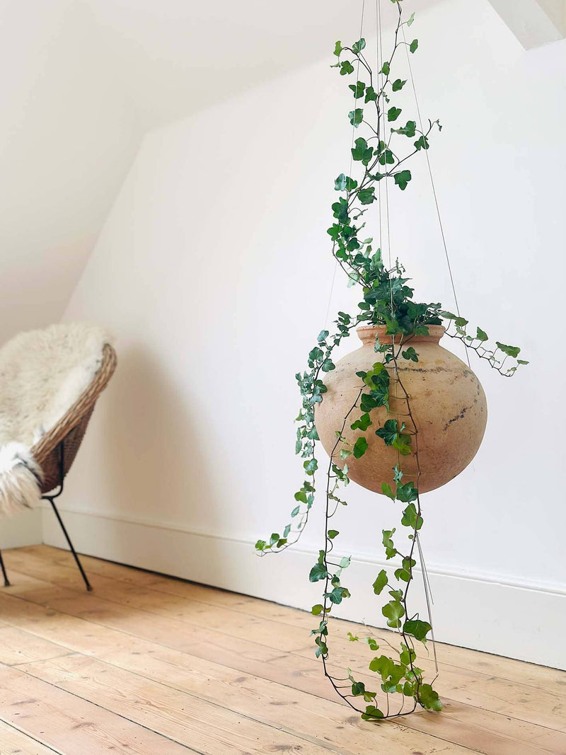 Bella Minimalist Wire Plant Pot Hanger Pots & Planters The Planted House
