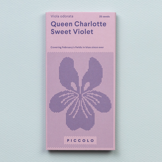 Sweet Violet 'Queen Charlotte' Seeds Seeds Piccolo Seeds