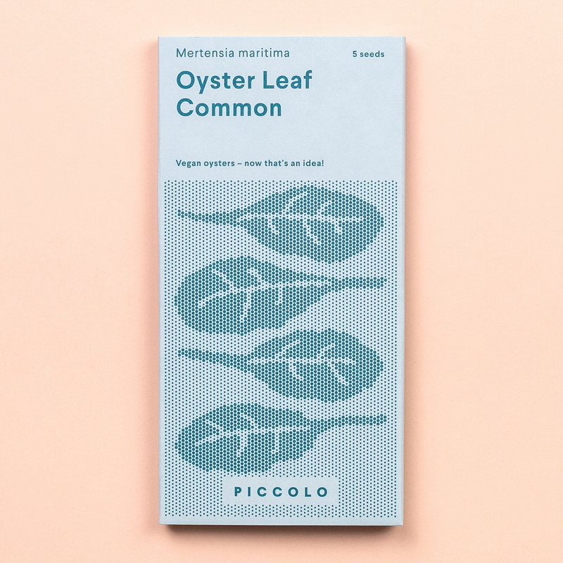 Oyster Leaf (Mertensia maritima) Seeds Seeds Piccolo Seeds