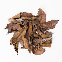 Kumbuk Terminalia Arjuna Leaves (20 Pack)