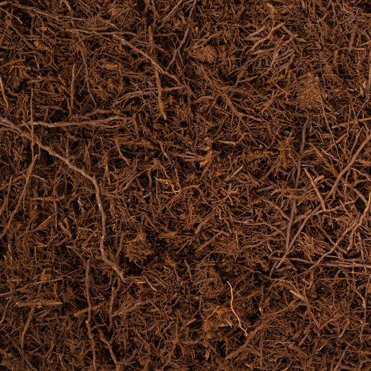 Tree Fern Fibre (Sustainably Sourced) Potting Soil & Substrates GrowTropicals