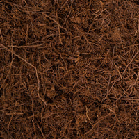 Tree Fern Fibre (Sustainably Sourced)