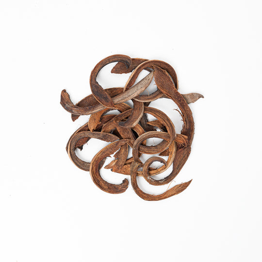 Coconut Curls (50g) Terrarium Decor GrowTropicals