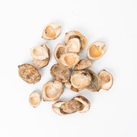 Betal Pods (50g)