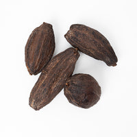 Cacao Pods