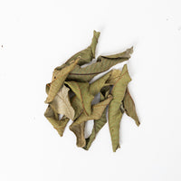 Guava Leaves (10 Pack)