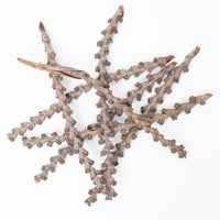 Buritti Twig Bundle (40cm)
