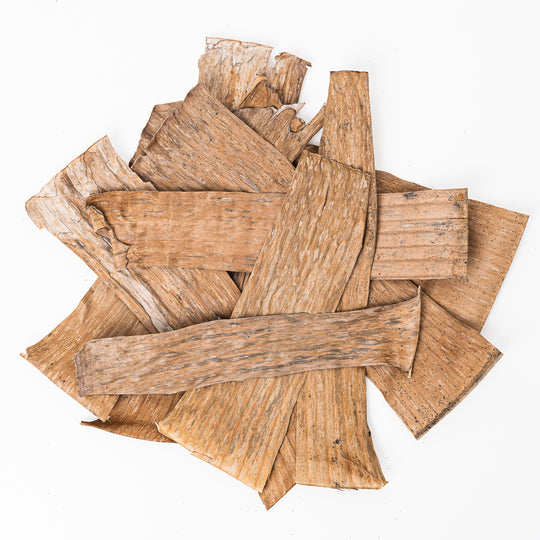 Banana Leaves (10 Pack) Leaf Litter GrowTropicals