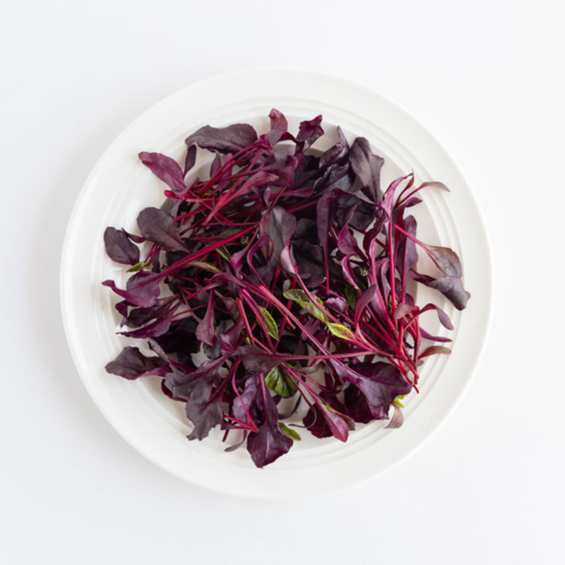 Beetroot 'Bull's Blood' Seeds Seeds Piccolo Seeds