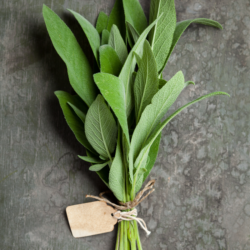 Sage Seeds — Default Title