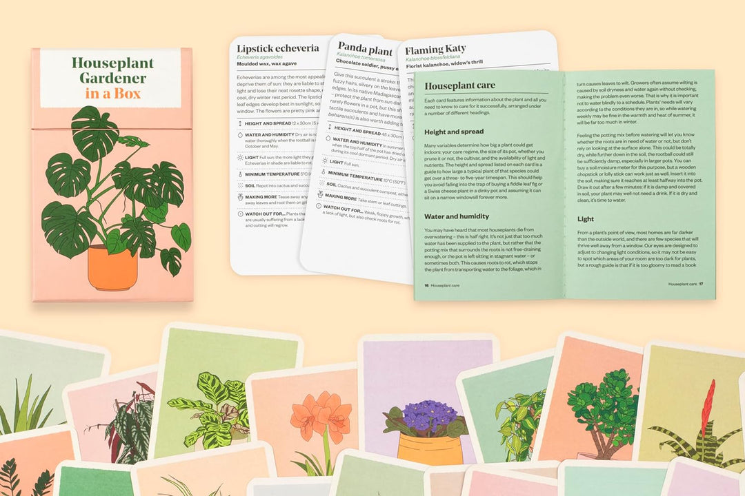 Houseplant Gardener in a Box – GROW TROPICALS