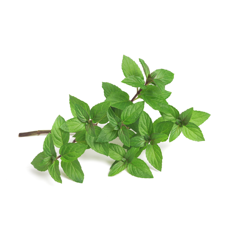 Peppermint Seeds — Default Title