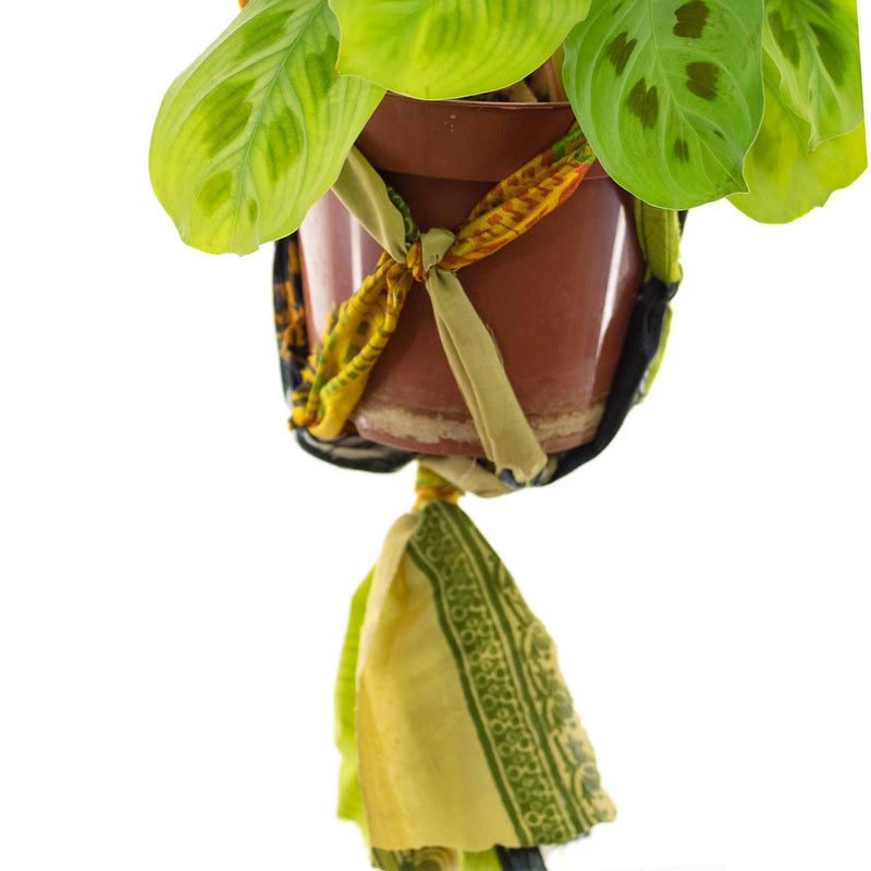 Recycled Sari Plant Hanger Small Plant Hangers Siesta