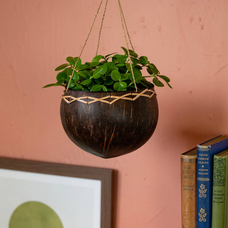 Coconut Plant Hanger Plant Hangers Siesta