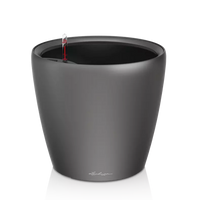 Lechuza Classico 35