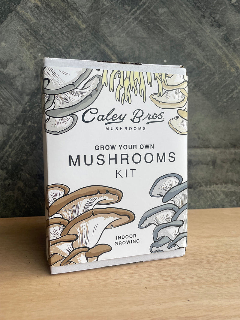 Mushroom Growing Gift Box CaleyBros