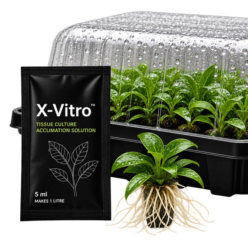NurtureSystem X-Vitro Tissue Culture Acclimation Formula — 1 Satchet (1L Solution)