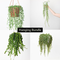 Hanging Bundle