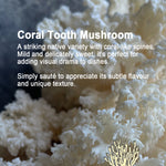 Mushroom Growing Gift Box CaleyBros