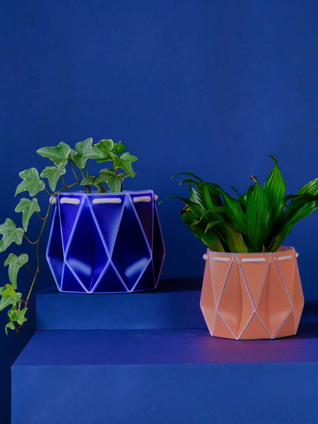 navy succulent pot POTR Navy Self-Watering Pot