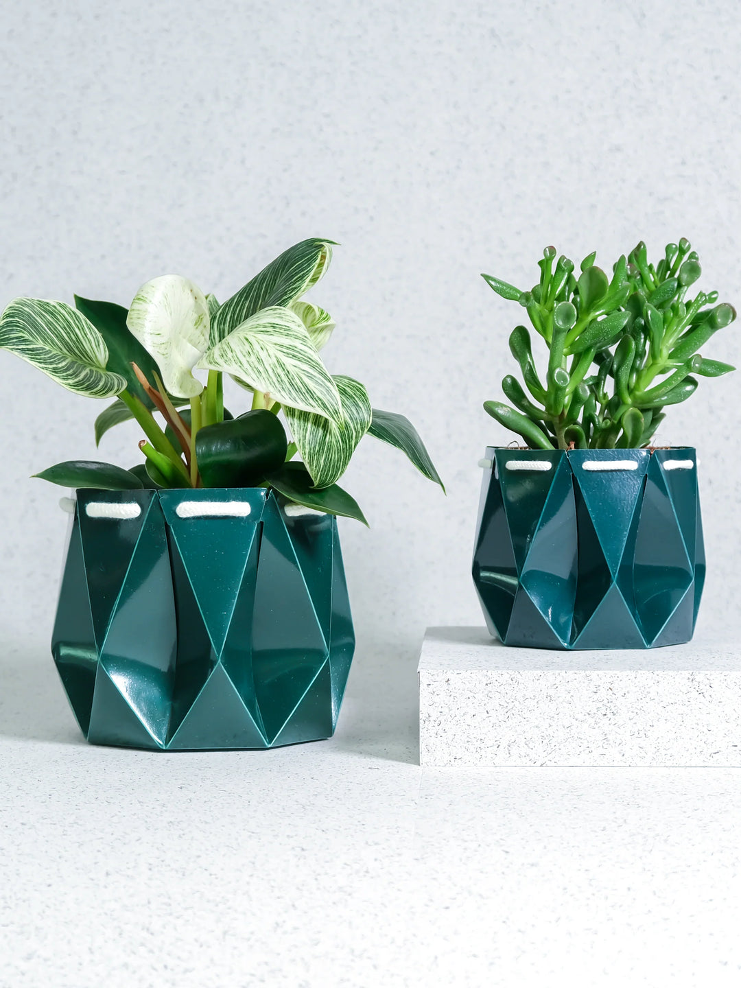 deep pot for plants POTR Ocean Pot Deep Green | Pots & Planters