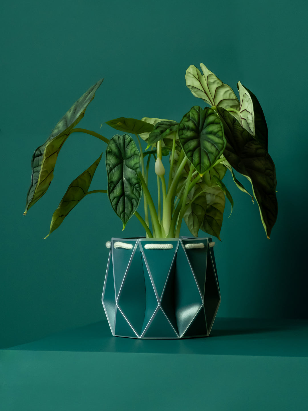 dark teal plant pot POTR Dark Teal Self-Watering Pot