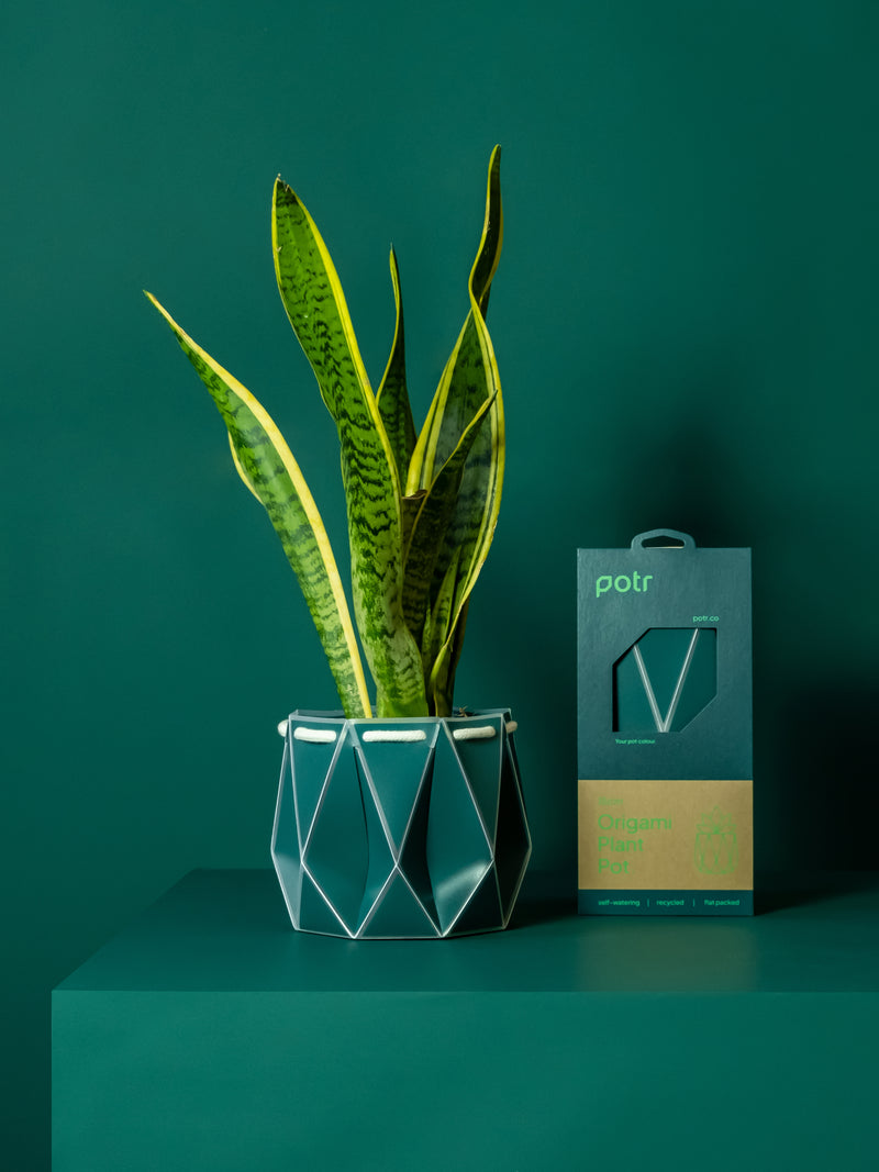 Planter & Pots