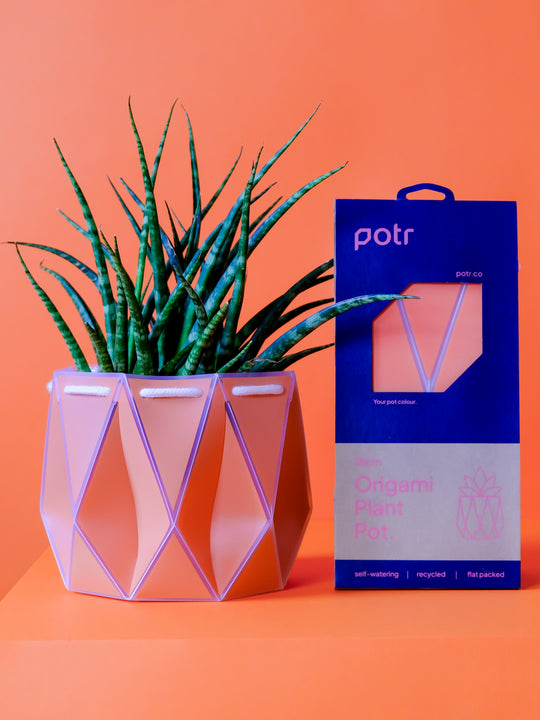 POTR Coral Self-Watering Pot Pots & Planters POTR